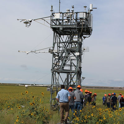 NEON Lighting the Way for Future Collaboration in Soil Health